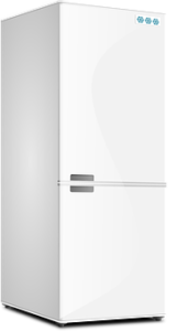 purchasing a refrigerator