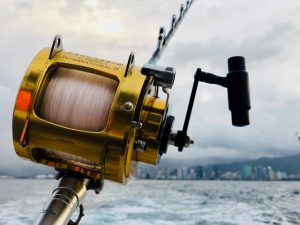 reel